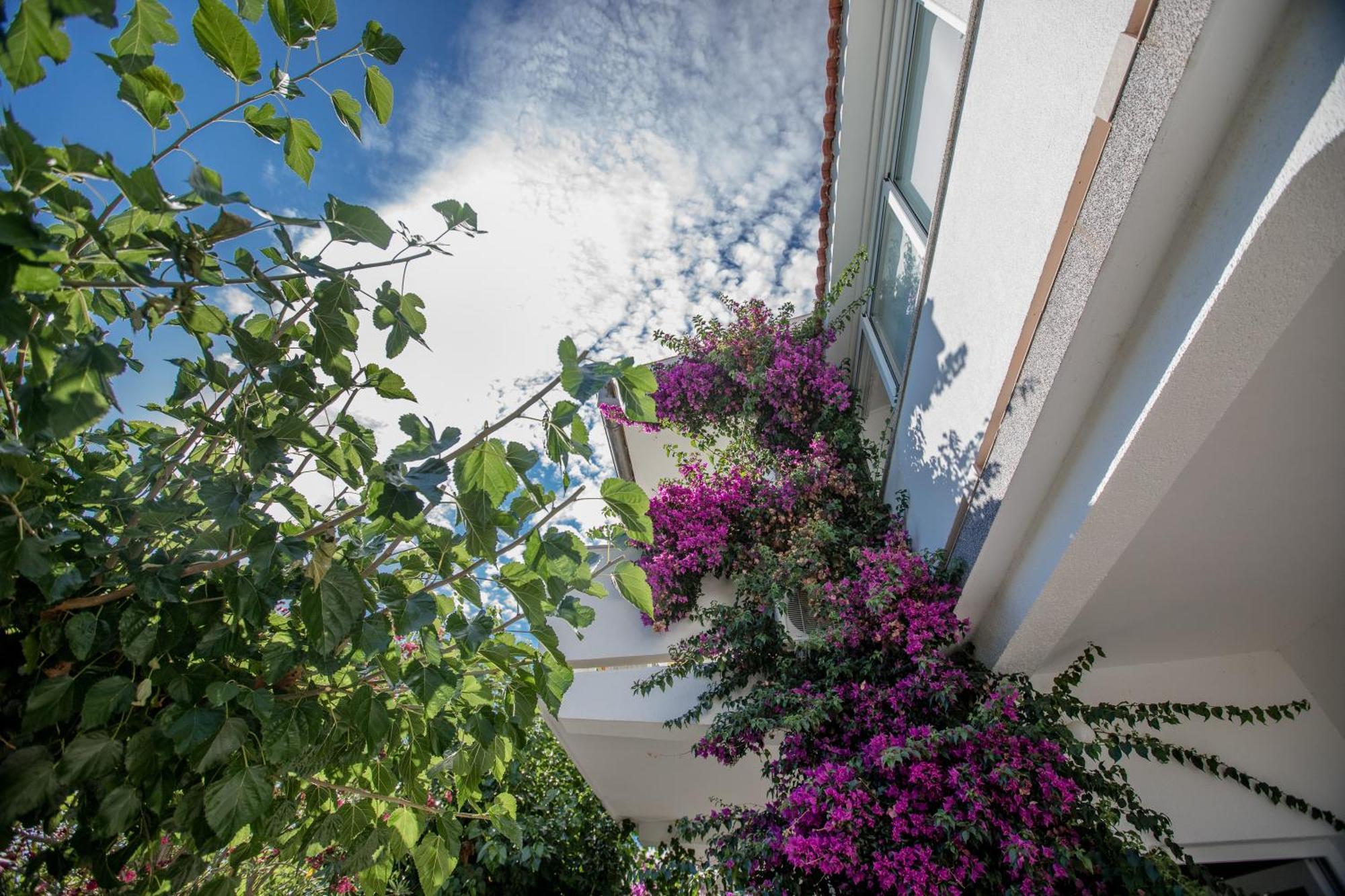 Apartman Rosa ซูเปทาร์สกา ดรากา ภายนอก รูปภาพ
